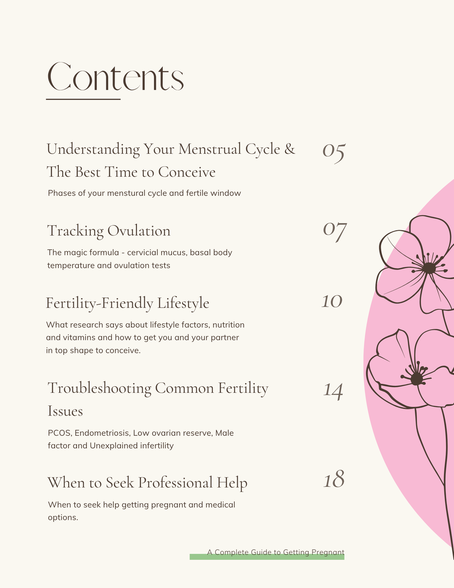 A Complete Guide to Getting Pregnant – eBook