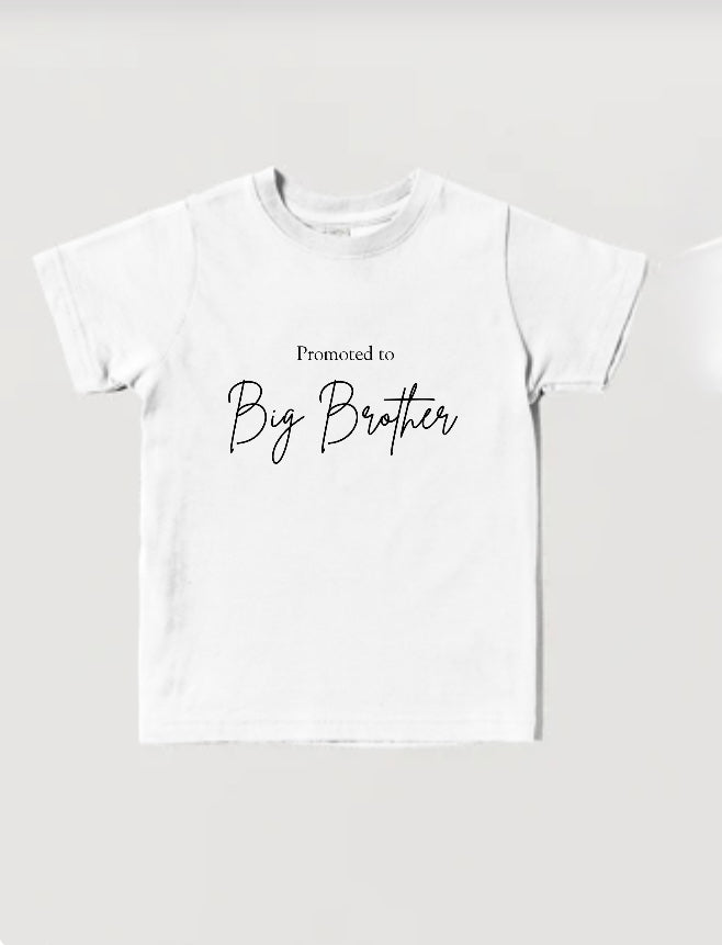 Promoted to big brother - instant download