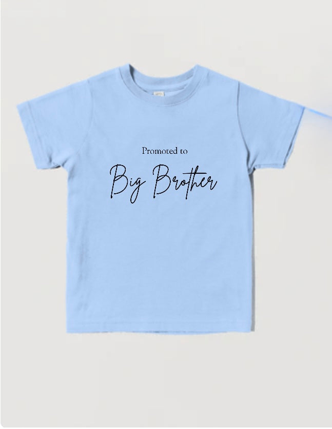 Promoted to big brother - instant download