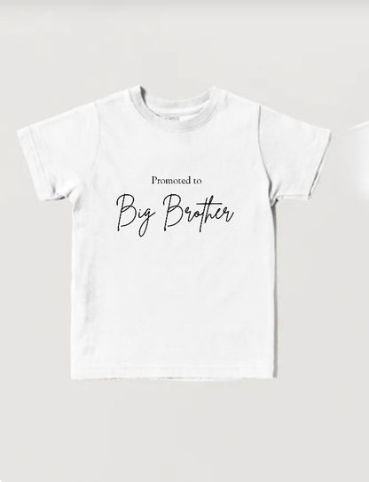 Promoted to big brother - instant download